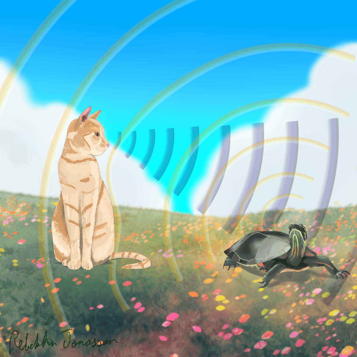 MatrixBandwidth.jl logo